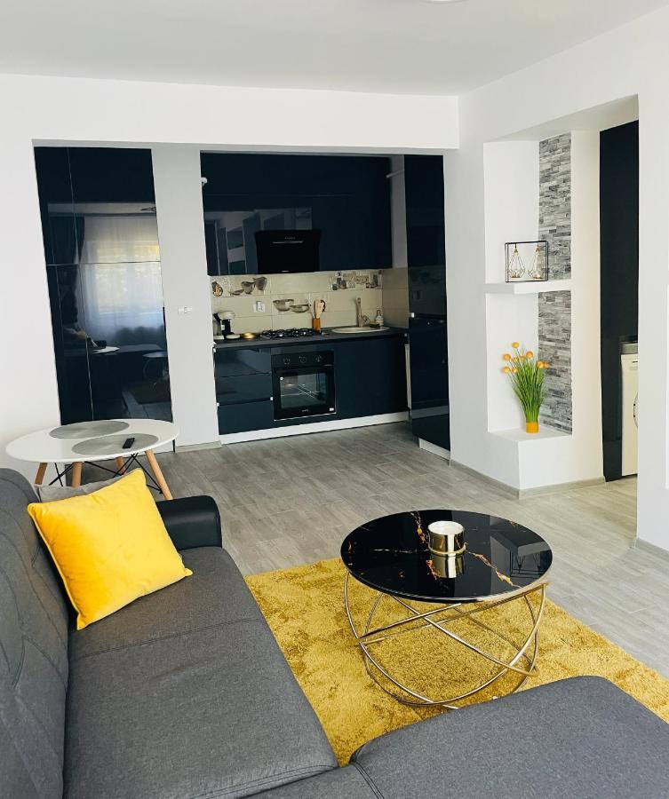 Timisoara Central Apartment New Parking !! Esterno foto
