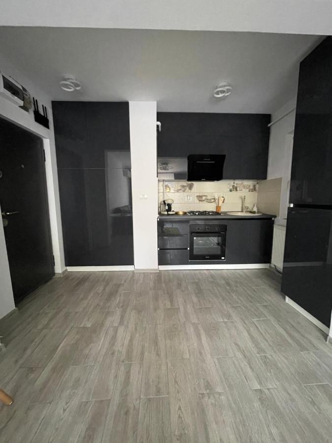 Timisoara Central Apartment New Parking !! Esterno foto