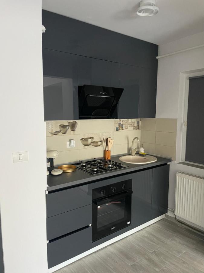 Timisoara Central Apartment New Parking !! Esterno foto